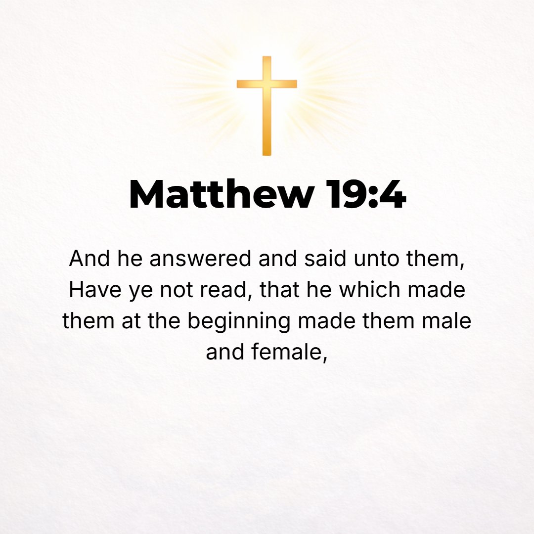 Matthew 19:4 - He replied, Have you never read that He Who made them from the beginning made them male and female