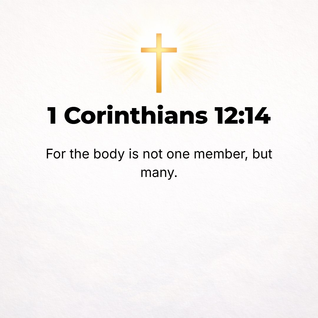 1 Corinthians 12:14 - For the body does not consist of one limb or organ but of many.