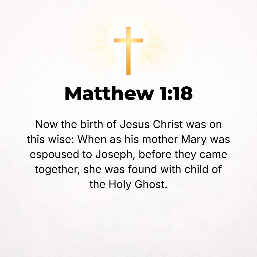 Matthew 1:18 - Now the birth of Jesus Christ took place under these circumstances: When His mother Mary had been promised in marriage to Joseph, before they came together, ...