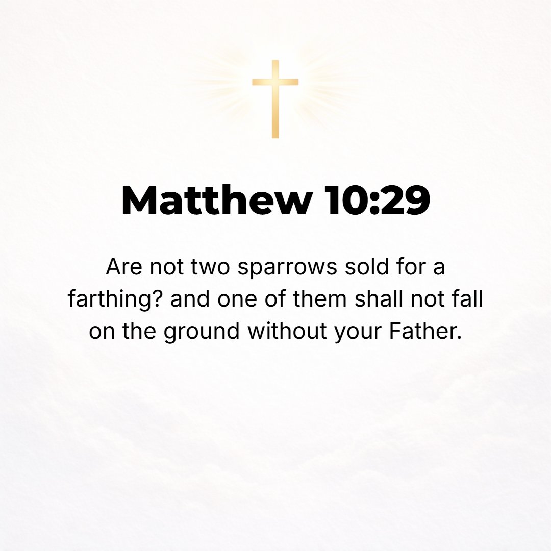 Matthew 10:29 - Are not two little sparrows sold for a penny? And yet not one of them will fall to the ground without your Father's leave (consent) and notice.