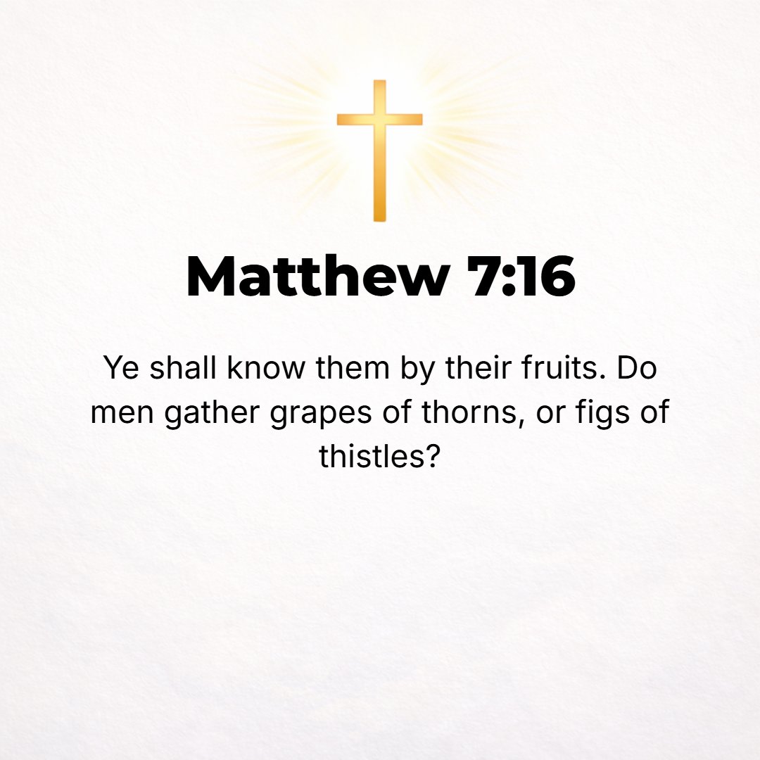 Matthew 7:16 - You will fully recognize them by their fruits. Do people pick grapes from thorns, or figs from thistles?