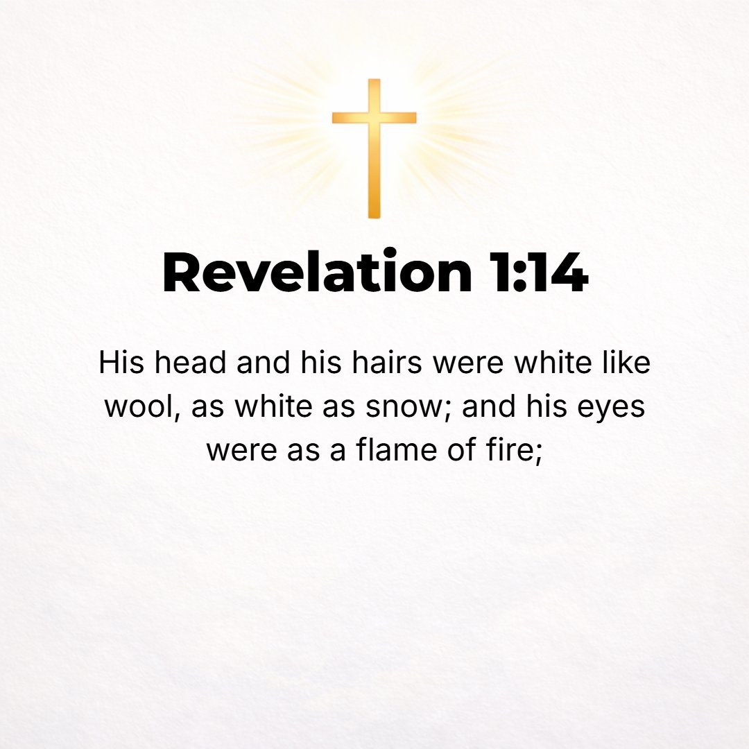 Revelation 1:14 - His head and His hair were white like white wool, [as white] as snow, and His eyes [flashed] like a flame of fire. [Dan. 7:9.]