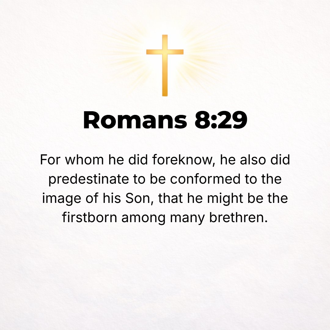 Romans 8:29 - For those whom He foreknew [of whom He was aware and loved beforehand], He also destined from the beginning [foreordaining them] to be molded into the image ...
