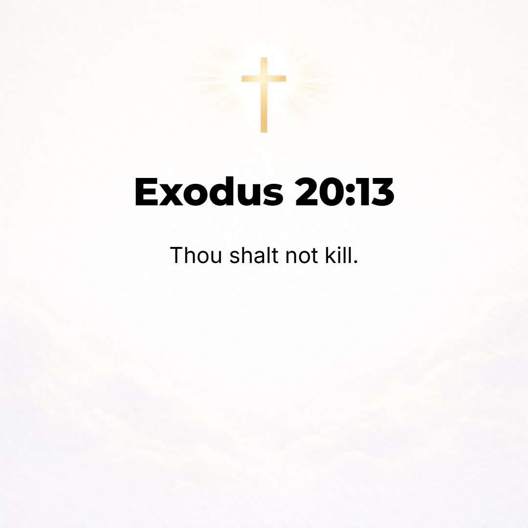 Exodus 20:13 - You shall not commit murder.