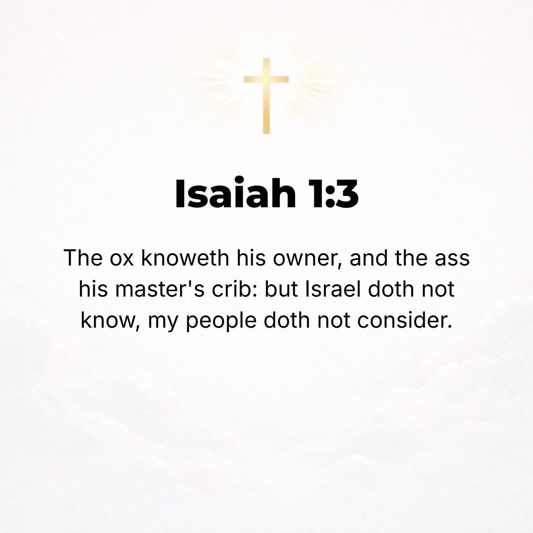 Isaiah 1:3 - The ox [instinctively] knows his owner, and the donkey his master's crib, but Israel does not know or recognize Me [as Lord], My people do not consider or un...