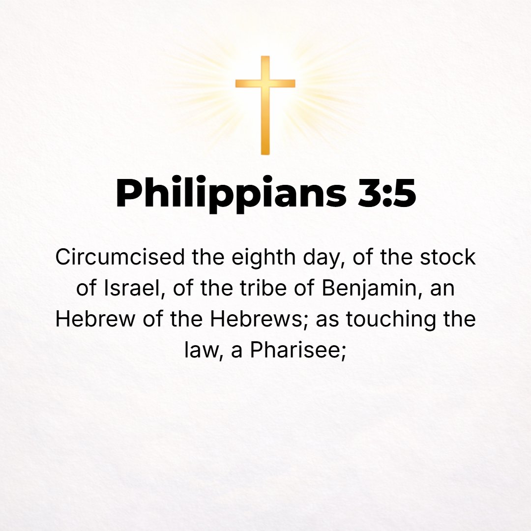 Philippians 3:5 - Circumcised when I was eight days old, of the race of Israel, of the tribe of Benjamin, a Hebrew [and the son] of Hebrews; as to the observance of the Law I ...