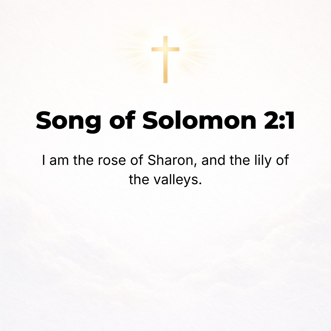 Song of Solomon 2:1 - [SHE SAID] I am only a little rose or autumn crocus of the plain of Sharon, or a [humble] lily of the valleys [that grows in deep and difficult places].