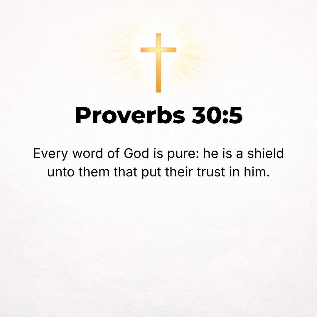 Proverbs 30:5 - Every word of God is tried and purified; He is a shield to those who trust and take refuge in Him. [Ps. 18:30; 84:11; 115:9-11.]